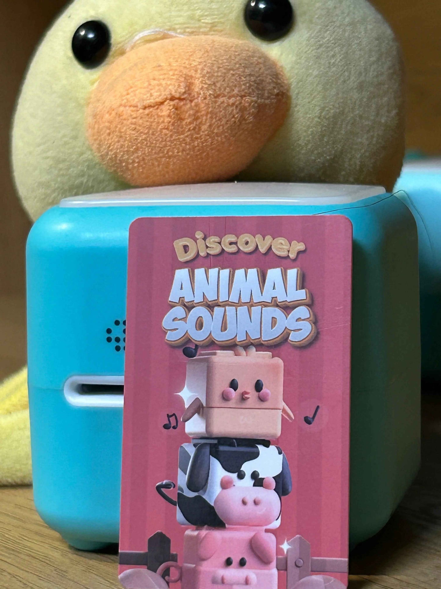 Discover Animal Sounds in life - Tokidos