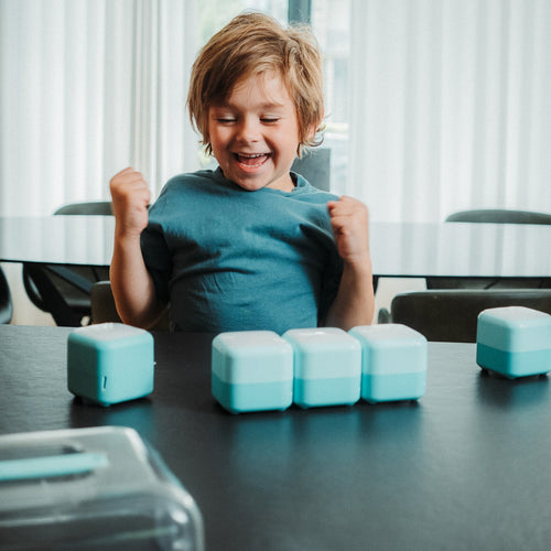 Tokidos PlayCubes game system