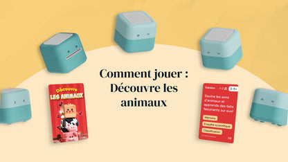 Découvre les Animaux